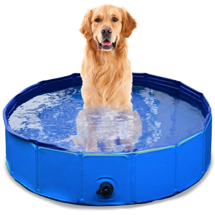 3 foot pool